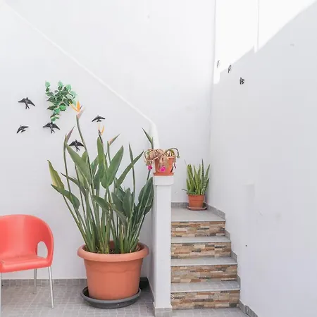 Amélia - Surf Camp Appartement